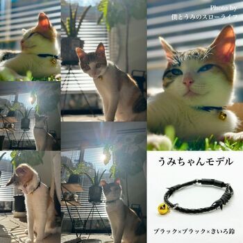 画像: 愛猫ちゃん用首輪【編み込みタイプ】mixカラーオーダー